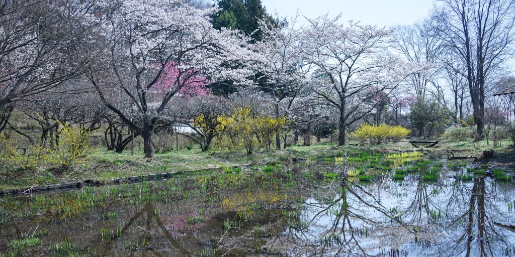花之江の郷 植物園春の風景