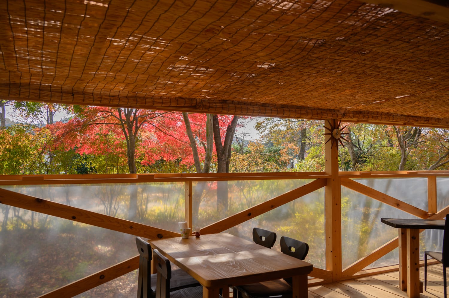 とらっせバイキングテラス席ギャラリー