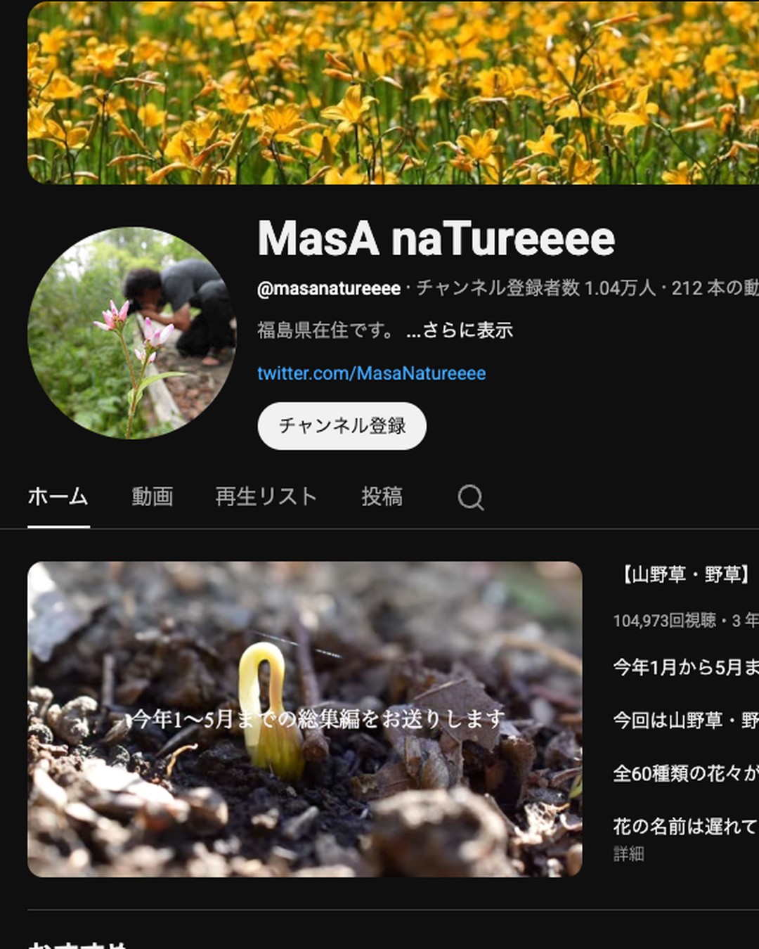 YouTube MasA naTureeee 公認アンバサダー