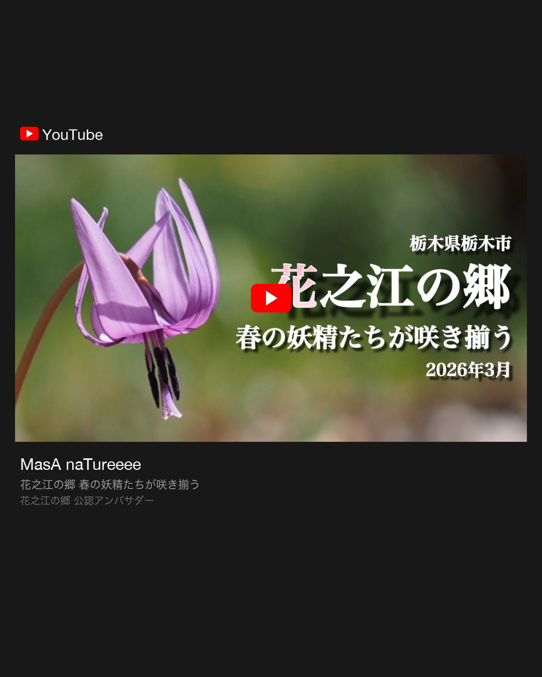 YouTube MasA naTureeee 公認アンバサダー