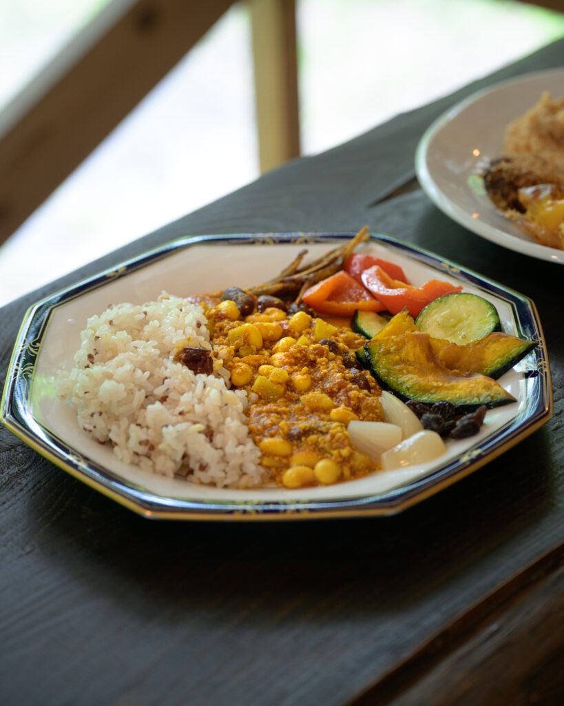 薬膳カレー(盛り付け・素揚げ野菜のせ)