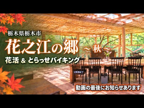 MasA naTureeee さん「秋の花活&とらっせバイキング」動画サムネイル